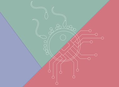 Annual Meeting of the German IVF Centers