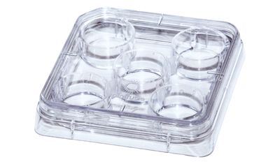 5-well dish with lid